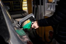 Öljy : ce qu'il faut savoir — image 3