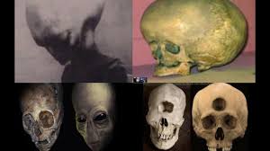 VIDEO: The mysterious 'alien' cranium was discovered in the mountains. The Mystery of the Alien Skulls. – Daily Mysteries