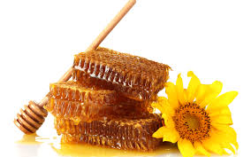 Honey is a risky food for infants