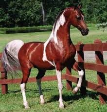 R&eacute;sultat de recherche d'images pour 