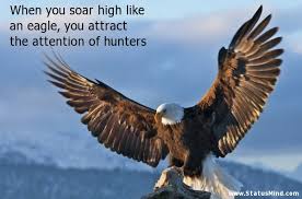 Soar Like An Eagle Quotes And Sayings. QuotesGram via Relatably.com