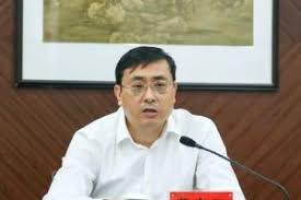 Fei Gaoyun Investigation:合肥市委书记费高云任上被查