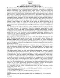 Milo Manheim in School Spirits