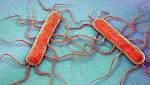 Cape #Listeriosis cases
