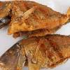 Story image for Bumbu Dan Cara Menggoreng Ikan Nila from Vemale