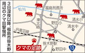 福島・笹木野の畑にクマの足跡:福島ニュース