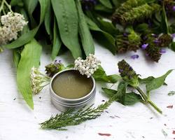 Ointments of herbs