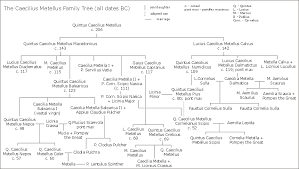 Image result for image family trees