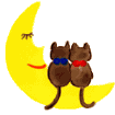 images?q=tbn:ANd9GcS7ItIa33NVb8-b6edw16Q