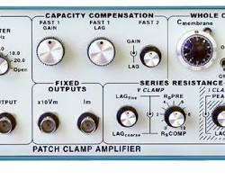 Image of Patch clamp amplifier