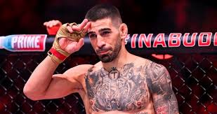 Meta MMA - News update