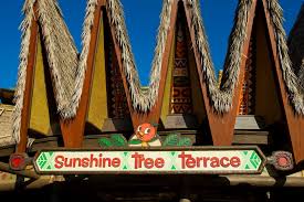 Image result for the orange bird