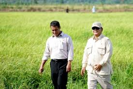 Sektor Pertanian: Tulang Punggung Ekonomi Indonesia