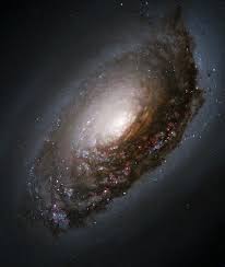 Image result for m91 galaxy