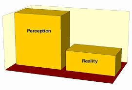 Image result for perception vs reality