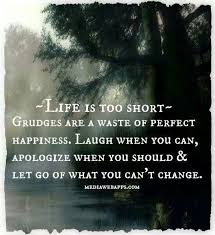 Life is too short...grudges are a waste of perfect happiness ... via Relatably.com