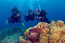 Scuba diving kona hawaii