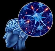 Image result for cell memory soul