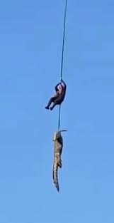 whose actions are an example of the highest standards of service and dedication. Dimpane said in a highly dangerous and complex operation along the Komati River