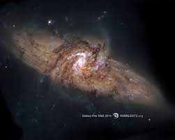 Image result for ngc 3314 galaxy
