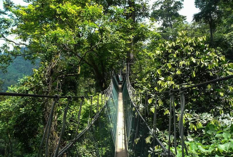 Taman Negara