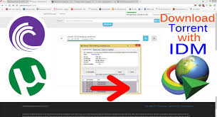 Image result for torrent to direct link