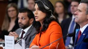 Tulsi Gabbard says she referred WaPo intelligence leak to DOJ: ‘deep-state criminals’