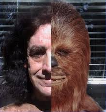 Peter Mayhew aka &#39;Chewbacca&#39; or to his friends simply &#39;Chewie&#39; was born and raised in Barnes, south-west London. Chewie, a Wookiee, went on to become Han ... - peter-mayhew-chewbacca