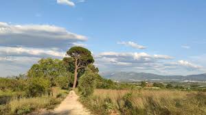 Cadena SER - News update