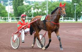 Résultat de recherche d'images pour "les image de pmu et logos"