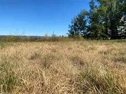 Le Soir Gaspésie - News update