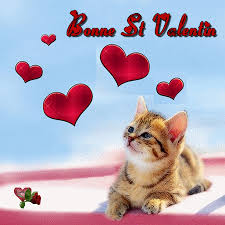 Résultat de recherche d'images pour "bon saint valentin"