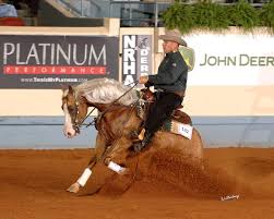 Image result for reining