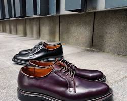 Alden 990 cordovan shoesの画像