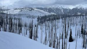 Earlier Snowmelt in Burned Forests Threatens Water Supplies
