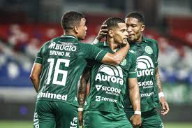 Chapecoense vs Flamengo: The Underdog's Revenge or Another FLA Show? 3 Betting Stats That Predict Chaos on Jul 22