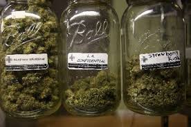 Does Medical Marijuana Increase Pot Use Among Teens?