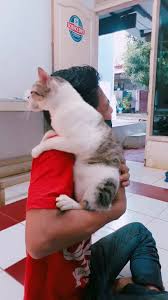 Dian (@dian12362)'s videos with оригинальный звук - Saveliy Sogr | TikTok
