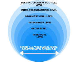 صورة Organizational social psychology