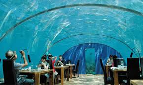 Bildergebnis für ‫اغرب مطعم في العالــــم‬‎