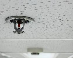 Image of Hotel sprinkler system