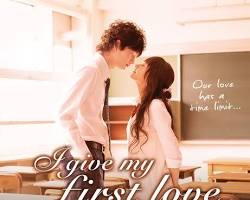 Since First Love (NTV) Japanese drama poster