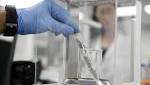 Town Italy speak after salmonella