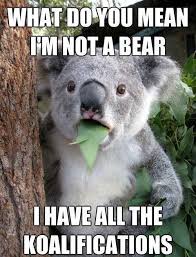 Koala Bear Humor | Funny and Cute Animals | Pinterest via Relatably.com