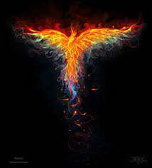 Image result for image of phoenix