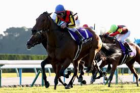 JRA日本中央競馬会