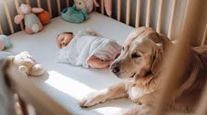 Dossier Actualités - OK Bébé