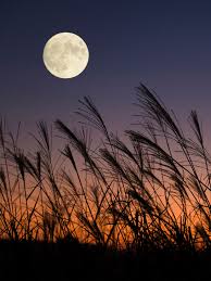 vollmond oktober 2025