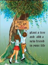 Plant a Tree on Pinterest | Plants, Trees and Tree Wedding via Relatably.com