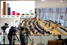 afd sachsen-anhalt